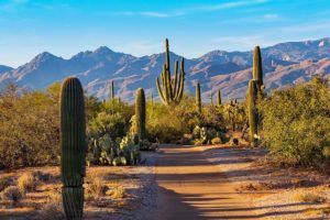 USA National Parks in February