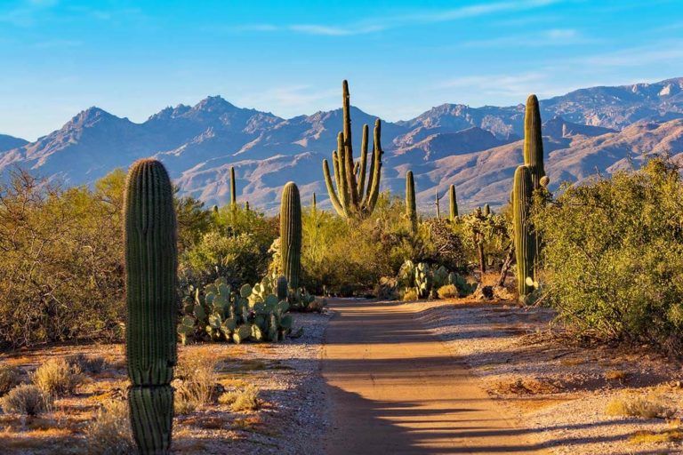 USA National Parks in February