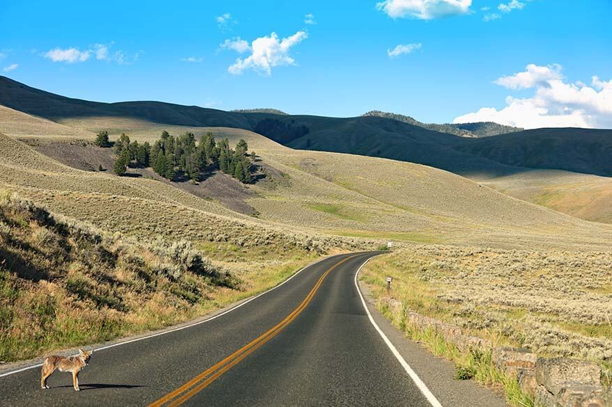 Best roads in the world - Lamar Valley in Yellowstone National Park