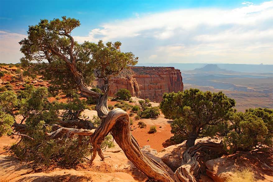 Canyonlands National Park Island in the Sky district