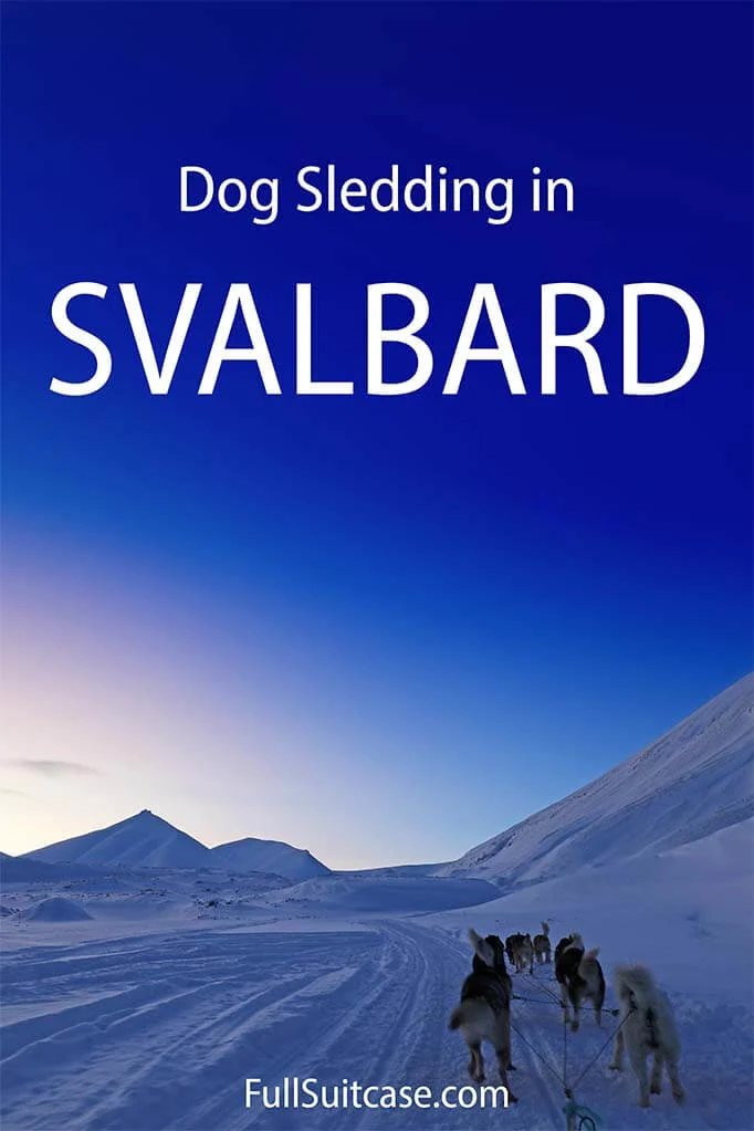Complete guide to dog sledding in Svalbard Northern Norway