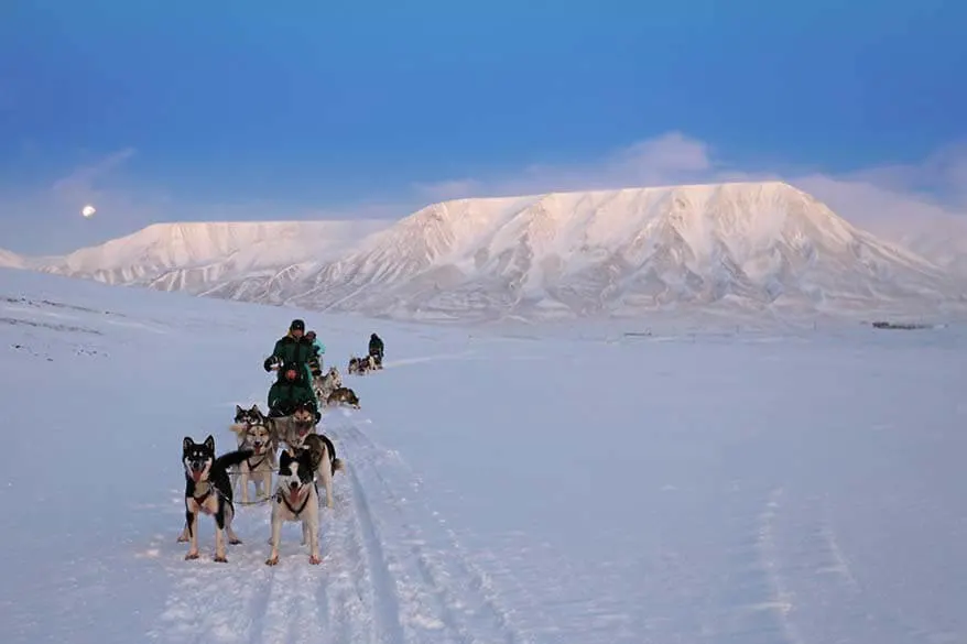 Dog sledding in Svalbard