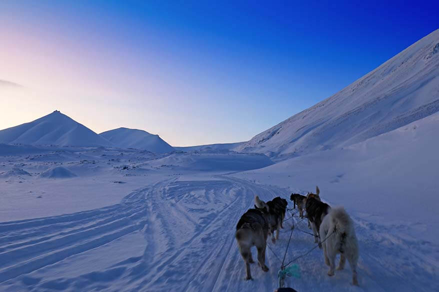 Dog sledding in Svalbard