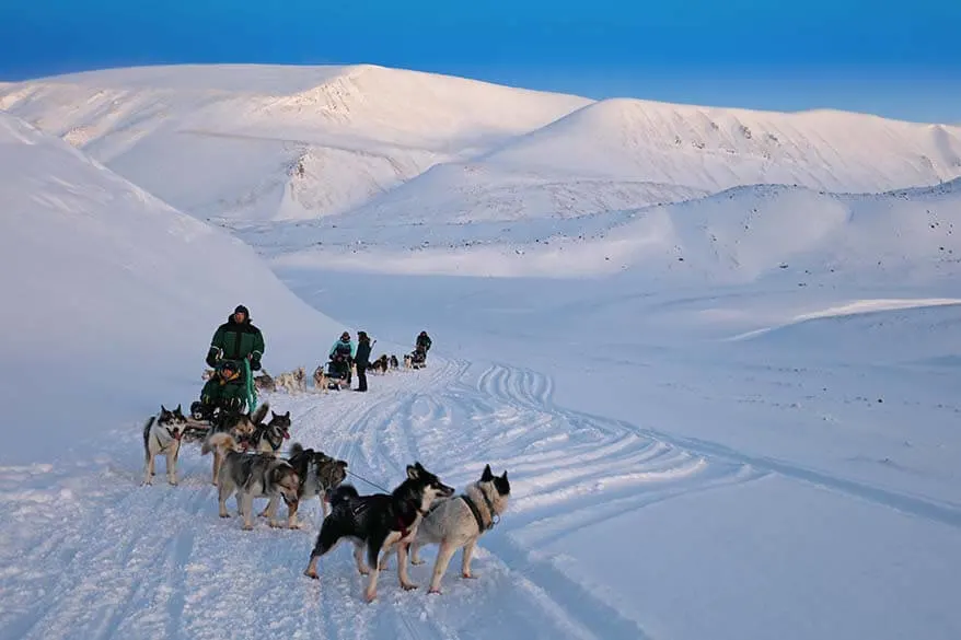 Green Dog Svalbard dog sledding to ice caves tour