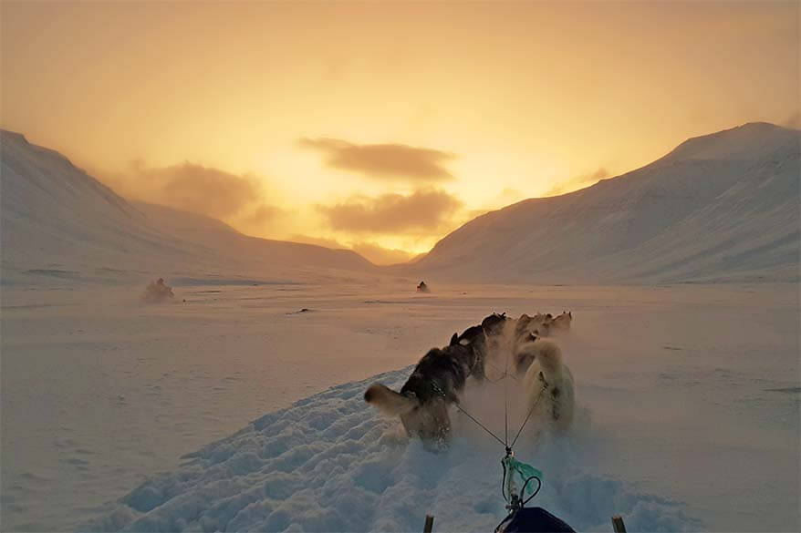 Husky sledding in Svalbard