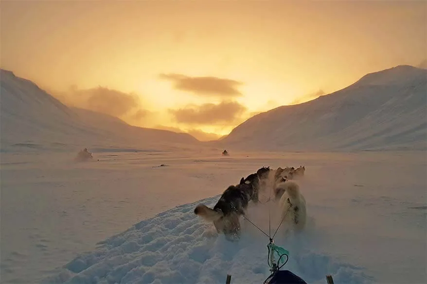 Husky sledding in Svalbard