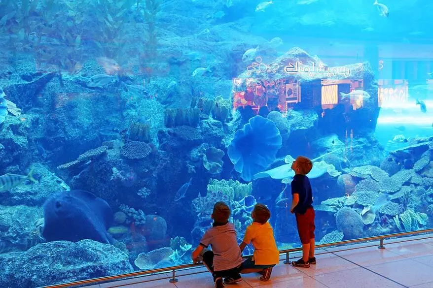 Kids at the Dubai Aquarium