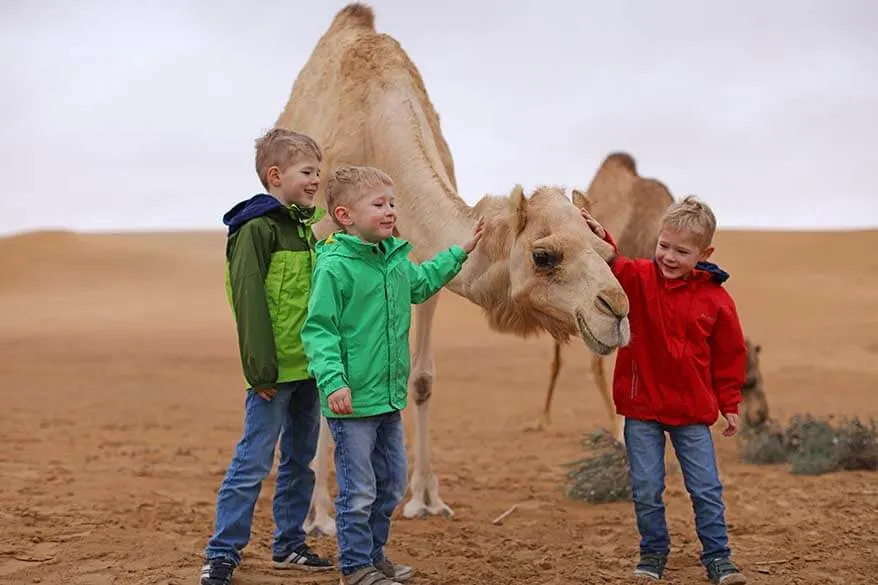 Kids with a camel in Dubai desert