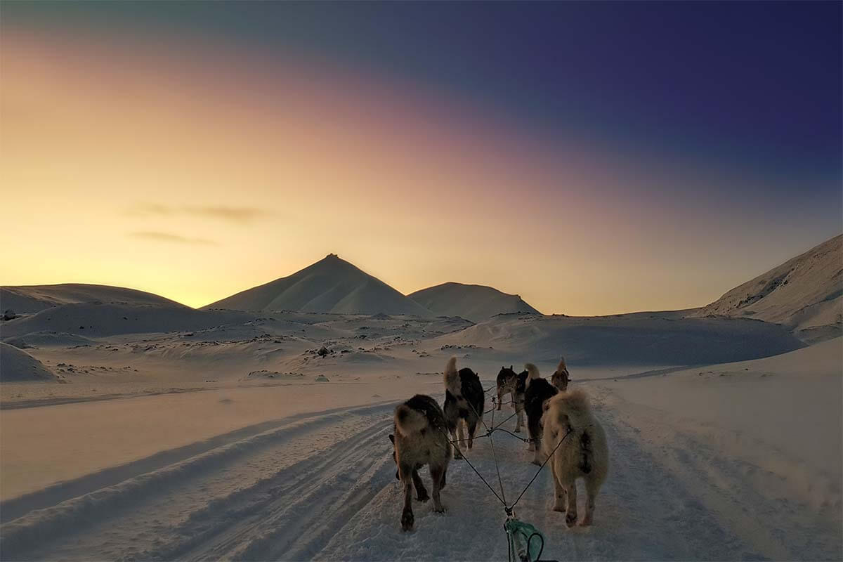 Svalbard dog sledding and ice caves day trip