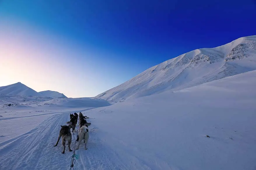 Svalbard dog sledding tour from Longyearbyen