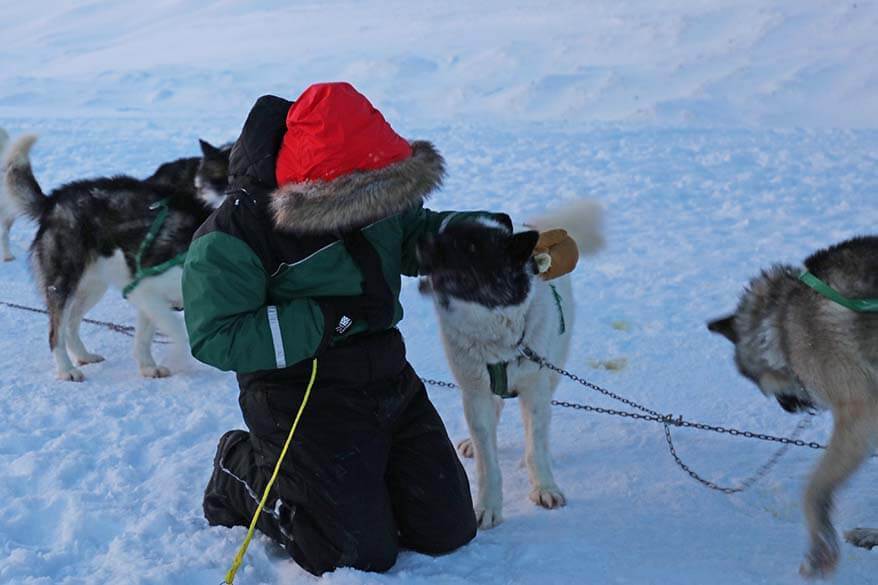 What to wear for a dog sledding tour in Svalbard