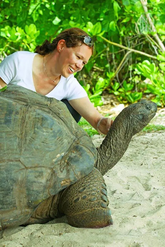 Giant Tortoise on Curieuse Island Seychelles