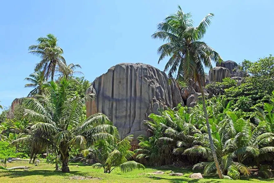 Giant granite boulders and palm trees on Big Sister Islands Seychelles
