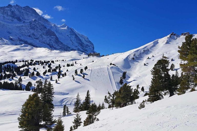 Skiing in Wengen: What to Expect & Tips for Your Winter Visit