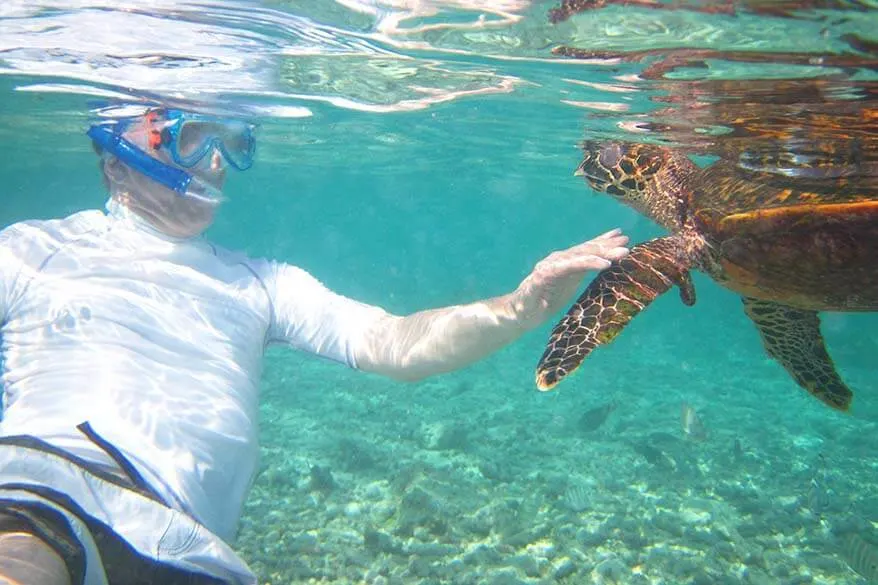 Snorkeling with sea turtles in Seychelles