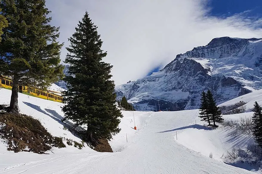 Wengen valley run ski piste 36