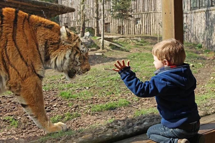 Amneville Zoo is one of the best day trips near Luxembourg with kids