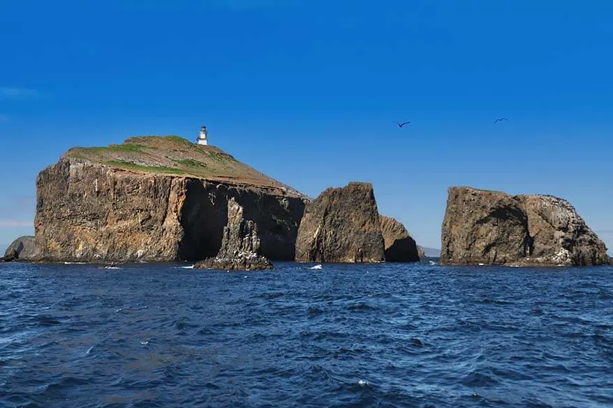 Anacapa Island in Channel Islands National Park in spring