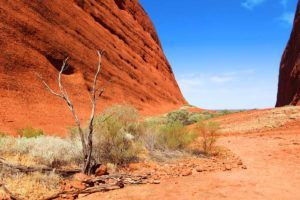 Kata Tjuta Australia