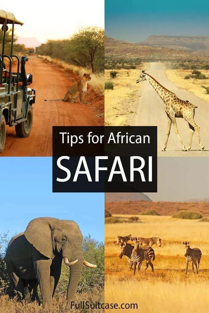 Tips for African safari trips