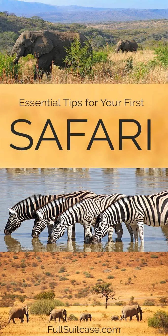 Top tips for African Safari - things to know before going on safari trip