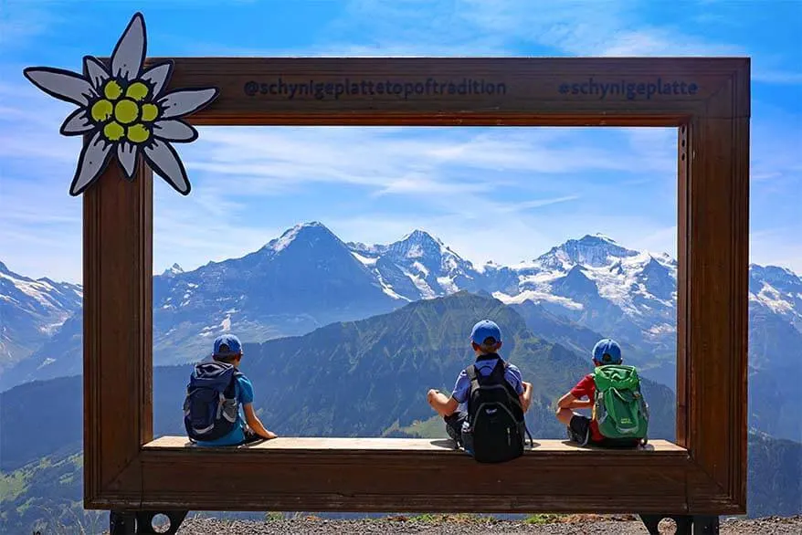 Travel picture of kids enjoying the view at Schynige Platte in Switzerland