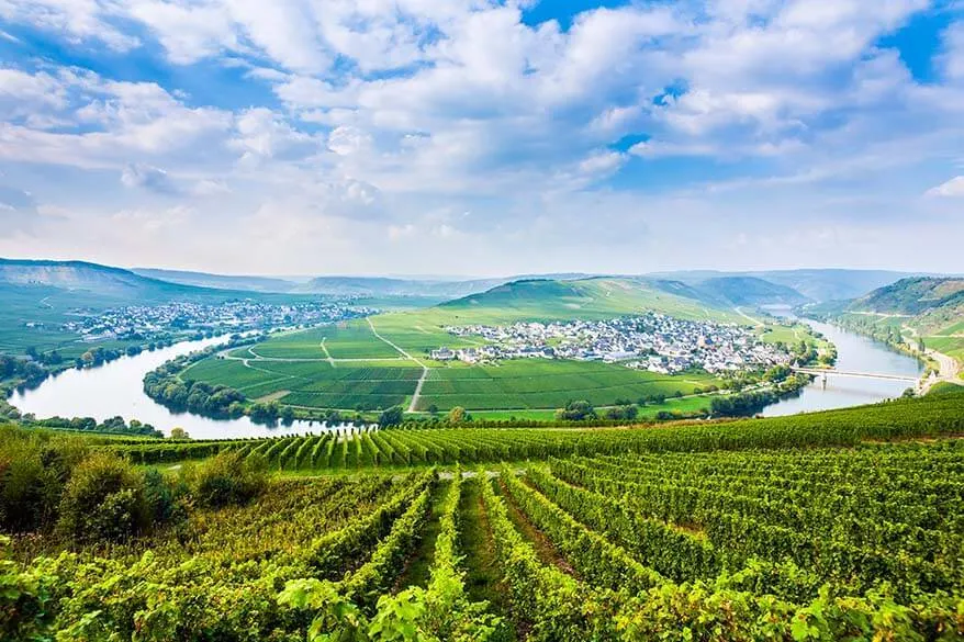 Vineyards of the Moselle Valley in Germany