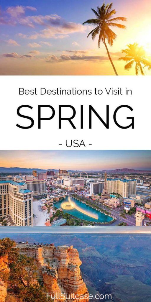 best spring break trips in the us