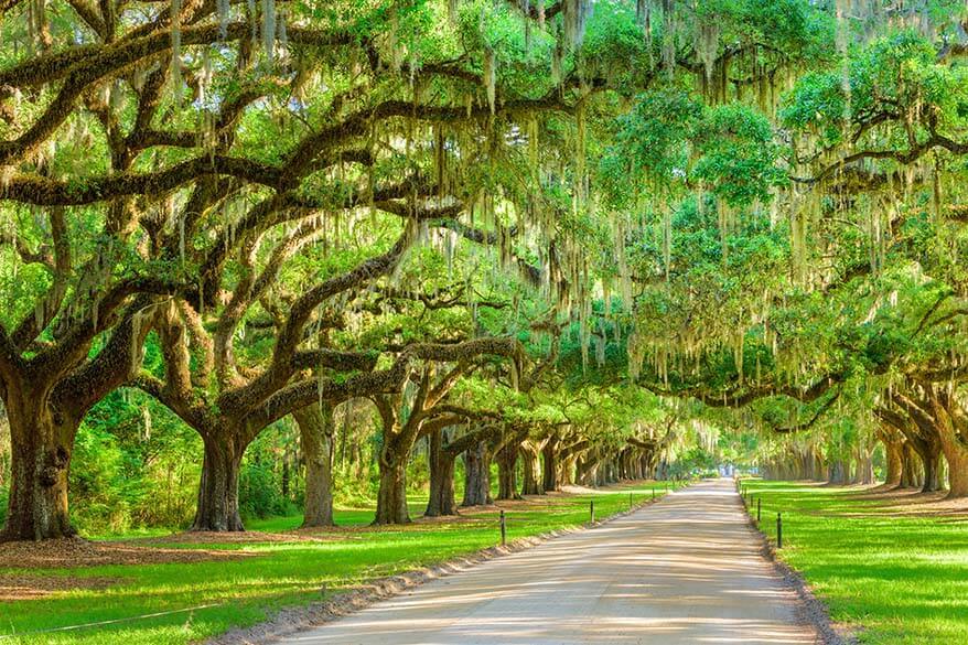 Boone Hall Plantation and Gardens near Charleston South Carolina