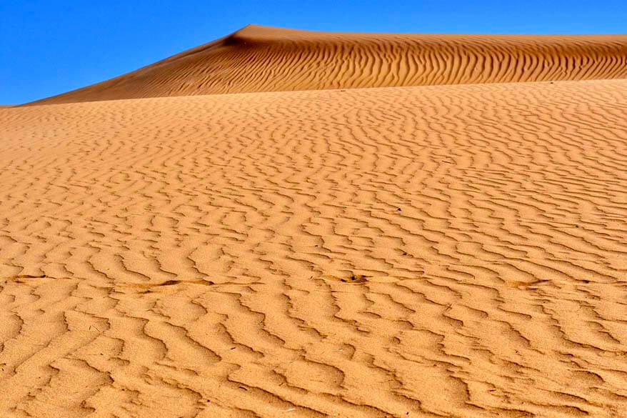 Maspalomas Sand Dunes in Gran Canaria Spain