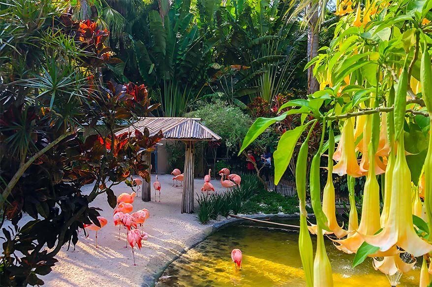 Sunken Gardens in St Petersburg Florida in the spring