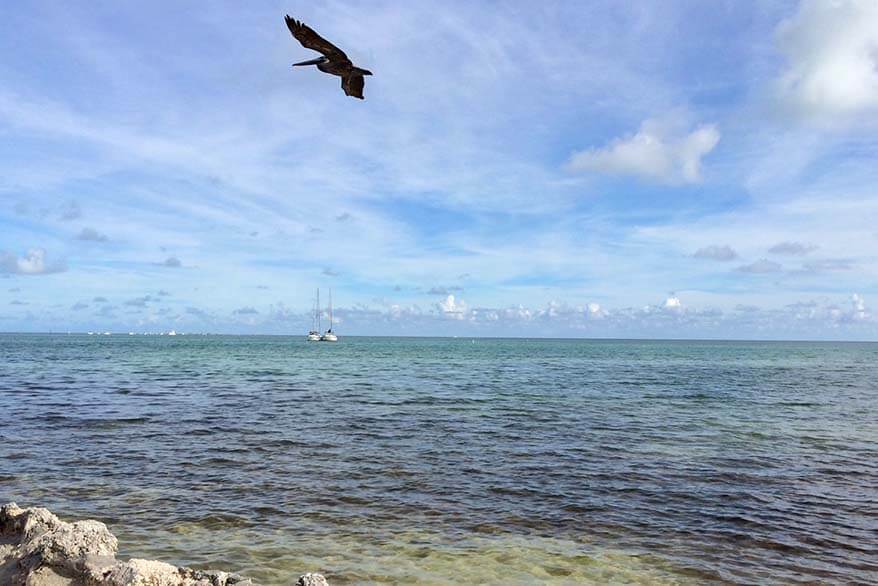 USA Spring Break - Islamorada Florida Keys