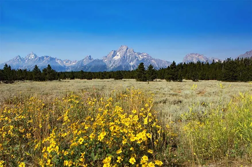 Jackson Hole scenery Wyoming