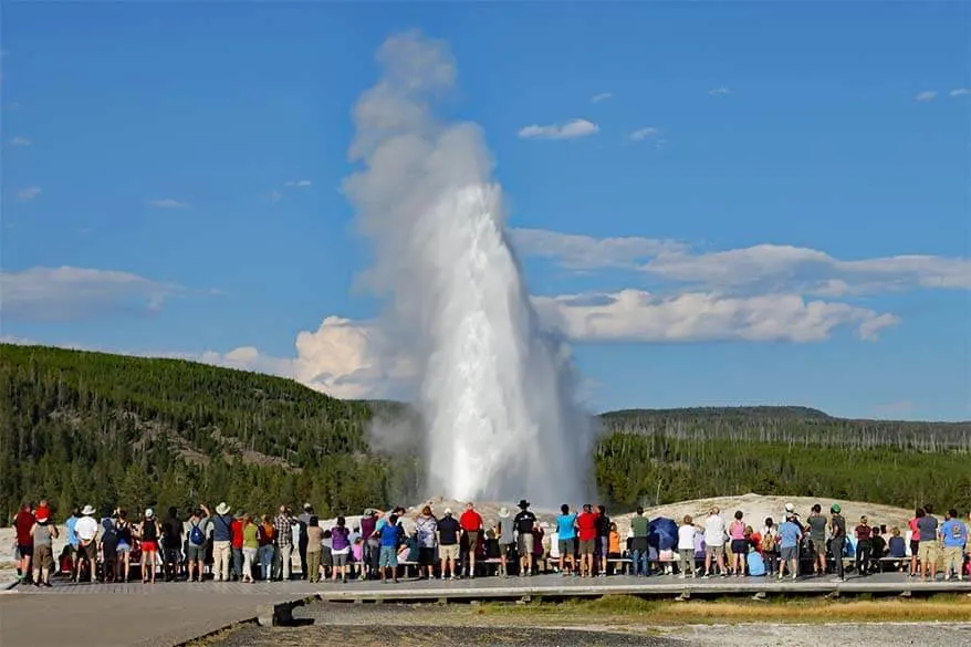 Old Faithful Geyser in Yellowstone