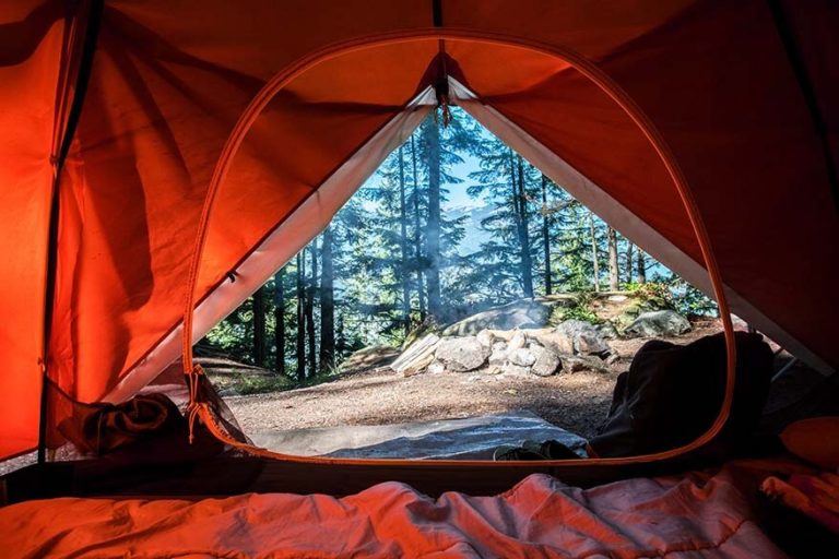 17 Best Things to Do in Jackson Hole, WY (+ Map & Tips)