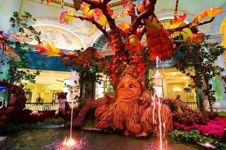 Bellagio Conservatory & Botanical Gardens in Vegas