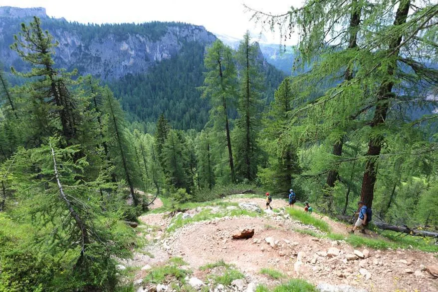 Hiking trail 434 between Lago Federa and Ponte de Ru Curto in the Italian Dolomites