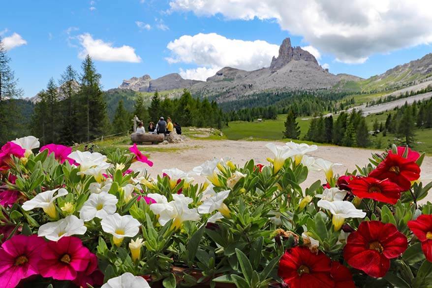 Summer flowers and mountain view as seen from Rifugio Croda da Lago in Italian Dolomites