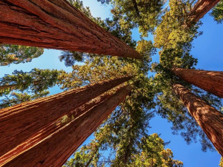15 Amazing U.S. National Parks to Visit in June (+ Planning Tips)