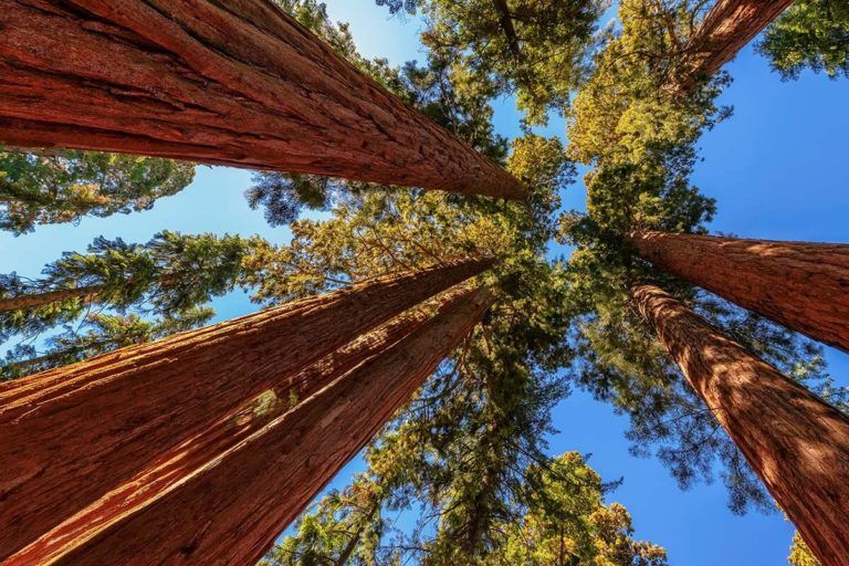 US National Parks to visit in June