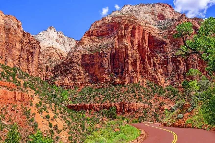 Zion National Park in May