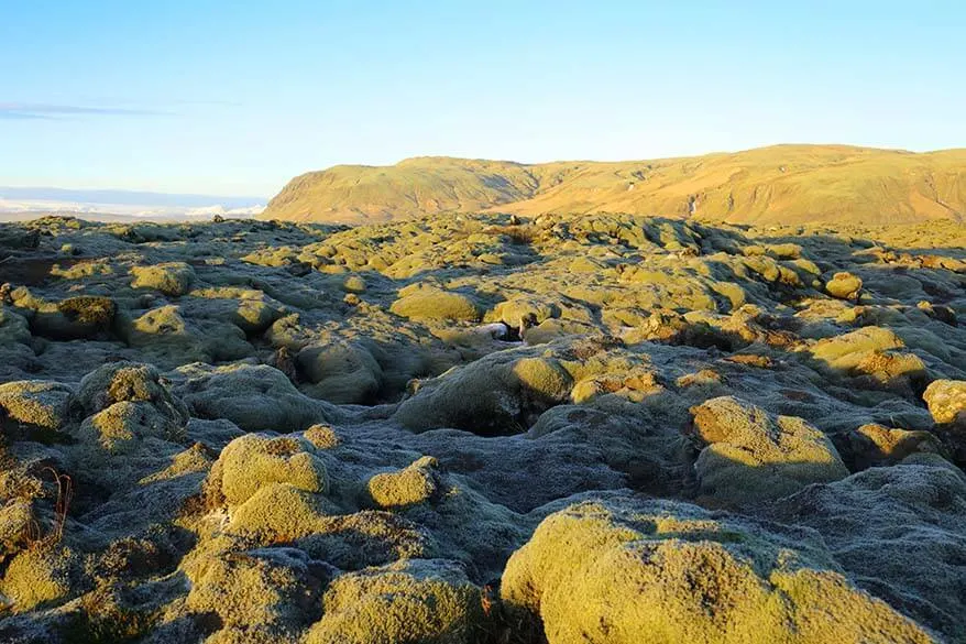 Eldhraun lava field in Iceland