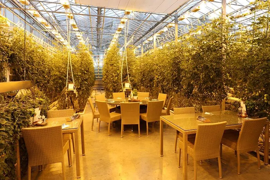 Fridheimar tomato farm and restaurant in Iceland