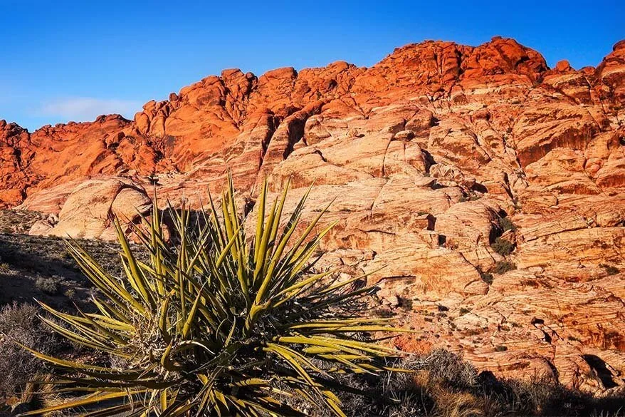 Scenery of the the Red Rock Canyon near Las Vegas