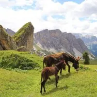 Best places to visit in Dolomites Italy
