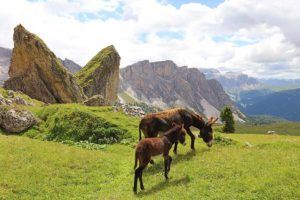 Best places to visit in Dolomites Italy