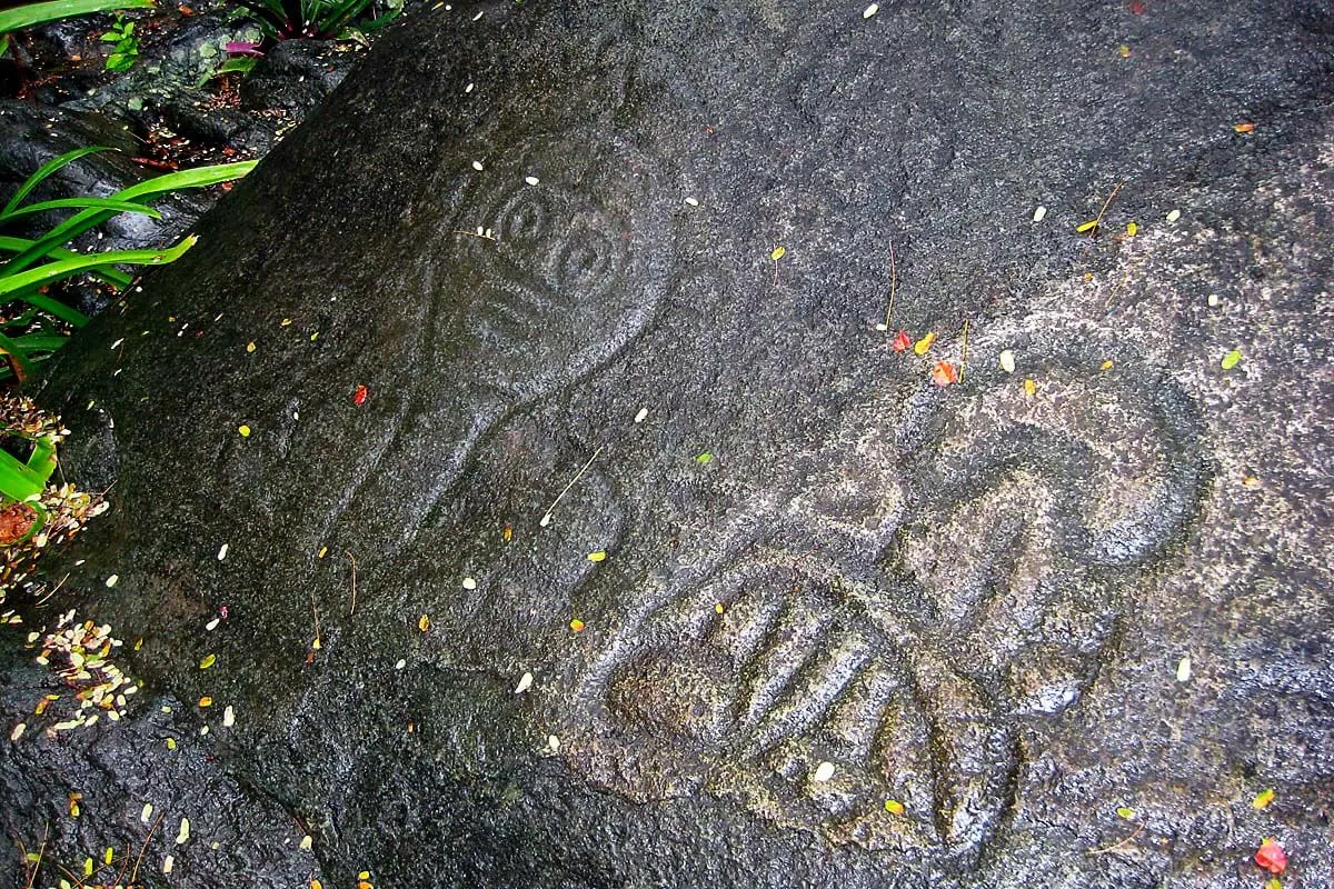 Petroglyphs in the Reef Bay in Virgin Islands National Park
