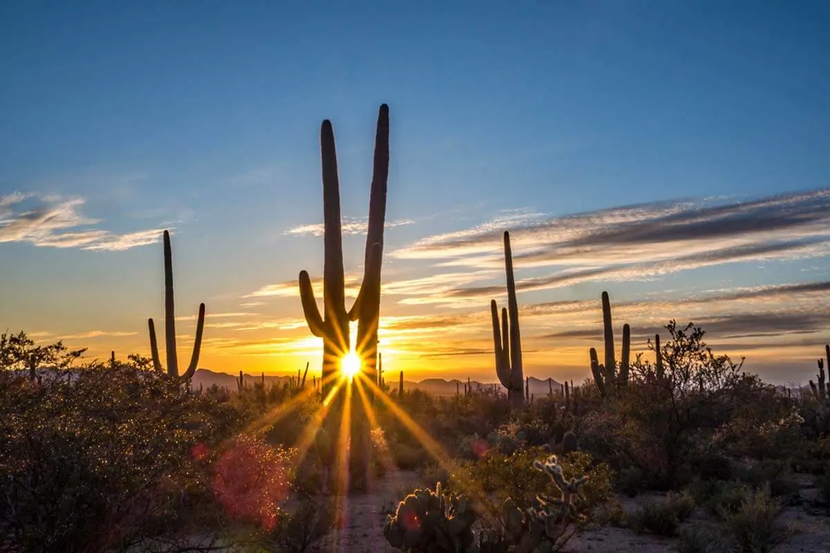Saguaro National Park is one of the nicest places to see in Arizona