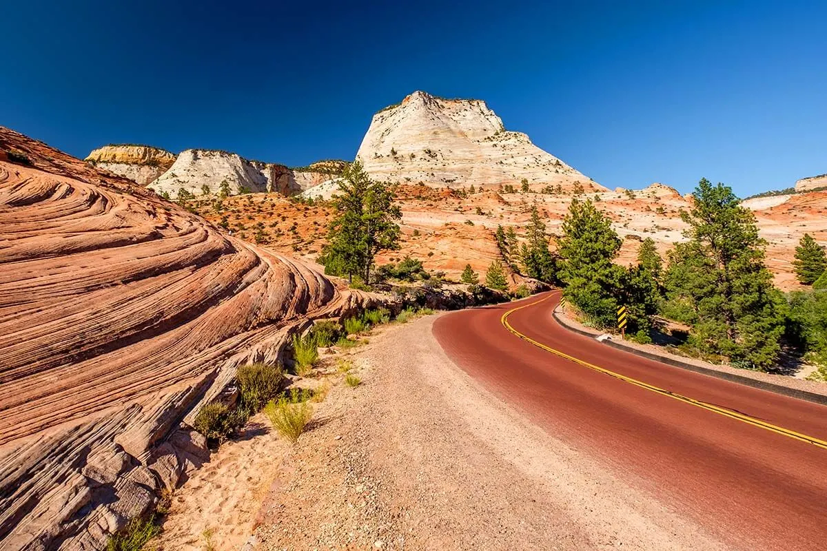 Scenic road through Zion National Park
