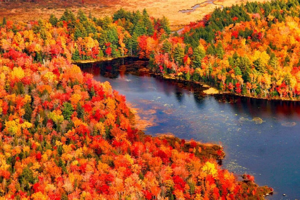 Best Time To Visit Acadia National Park For Fall Colors Get More